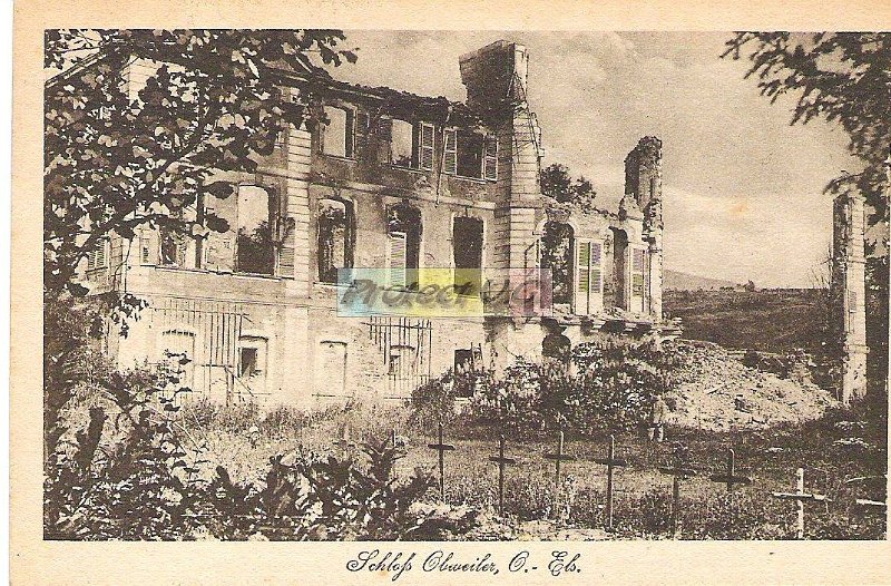 Cartes